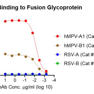 anti hmpv fusion human monoclonal antibody