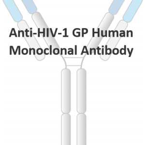 anti hiv 1 gp human monoclonal antibody