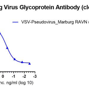 anti marburg virus glycoprotein monoclonal neutralizing antibody