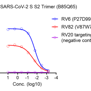 anti sars cov 2 s s2 monoclonal neutralizing antibody