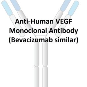 anti human vegf monoclonal antibody (bevacizumab similar)