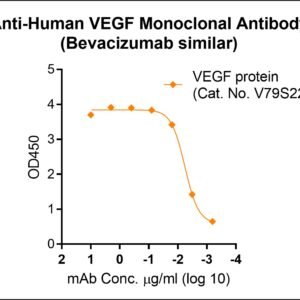 anti human vegf monoclonal antibody (bevacizumab similar)