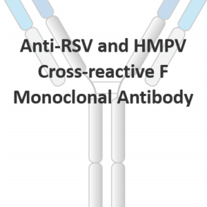 anti rsv and hmpv cross reactive f monoclonal antibody