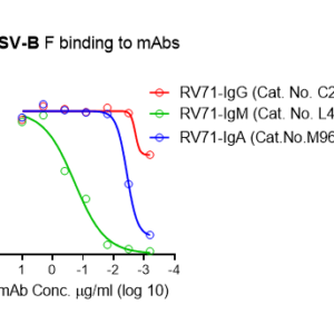 recombinant human anti rsv and hmpv cross reactive f igm antibody