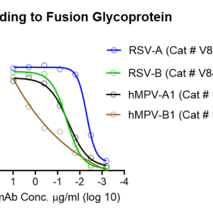 anti rsv and hmpv cross reactive f monoclonal antibody