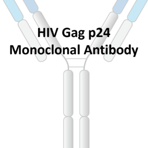 anti hiv gag p24 monoclonal antibody
