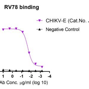 anti chikungunya virus e neutralizing antibody