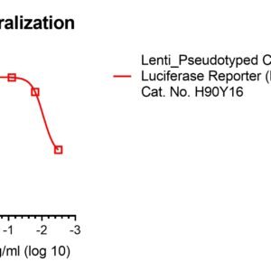 anti chikungunya virus e neutralizing antibody