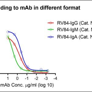 recombinant human anti rsv glycoprotein (g) igm antibody