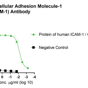 anti human intercellular adhesion molecule 1 (icam 1) antibody