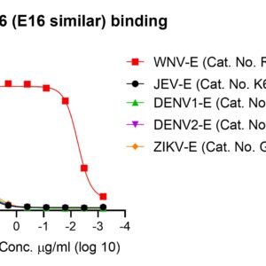 anti wnv e human monoclonal antibody (e16 similar)