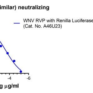 anti wnv e human monoclonal antibody (e16 similar)