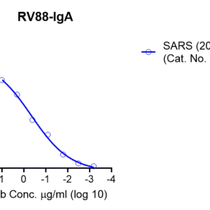 recombinant human anti sars or sars cov 2 s rbd iga antibody