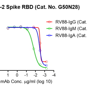 recombinant human anti sars or sars cov 2 s rbd igm antibody