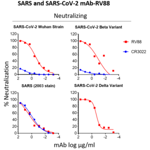 anti sars and sars cov 2 s rbd monoclonal neutralizing antibody