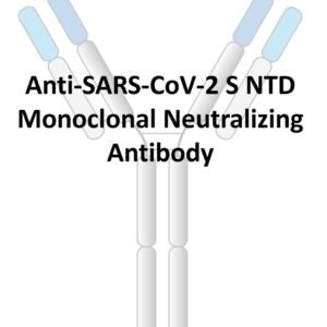 anti sars cov 2 s ntd monoclonal neutralizing antibody