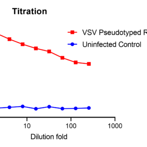 vsv pseudotyped rabies virus g fusion with luciferase reporter