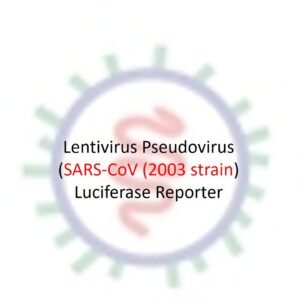 lenti pseudovirus sars cov spike with luciferase reporter