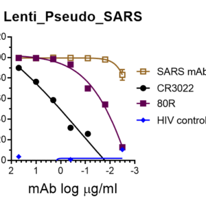 lenti pseudovirus sars cov spike with luciferase reporter