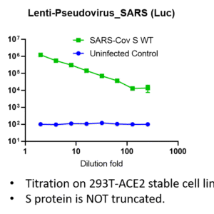 lenti pseudovirus sars cov spike with luciferase reporter