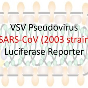 vsv pseudovirus sars cov (2003 strain) spike with luciferase reporter