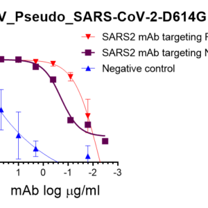 vsv pseudovirus sars cov 2 d614g mutant spike with luciferase reporter