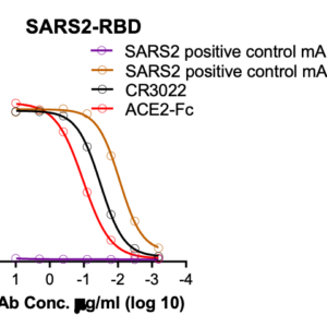 sars cov 2 spike receptor binding domain (rbd) (his tag)
