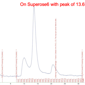 sars cov 2 wt (wild type, wuhan strain) trimeric spike (his and twin strep tags)
