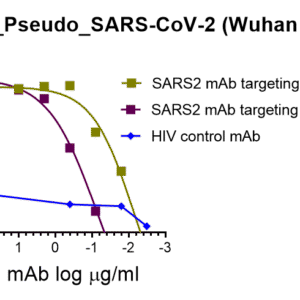 vsv pseudovirus sars cov 2 wt (wuhan strain) spike with luciferase reporter