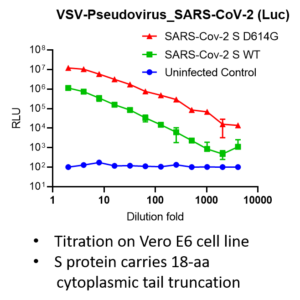 vsv pseudovirus sars cov 2 wt (wuhan strain) spike with luciferase reporter