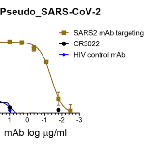 lenti pseudovirus sars cov 2 spike with luciferase reporter