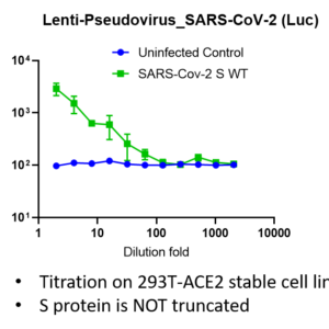 lenti pseudovirus sars cov 2 spike with luciferase reporter