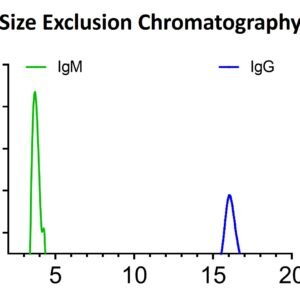 recombinant human anti rsv glycoprotein (g) igm antibody