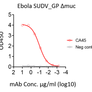 ebola sudv trimeric gp protein –twinstrep and his tag