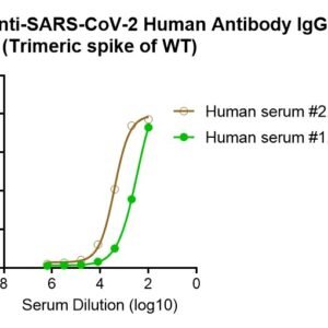 human anti sars cov 2 antibody igg titer serologic assay kit (trimeric spike)