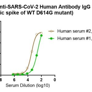 human anti sars cov 2 antibody igg titer serologic assay kit (trimeric spike)
