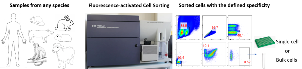 single or bulk cell sorting