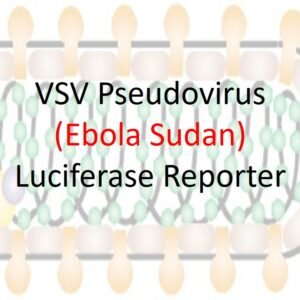 vsv pseudovirus sudan ebola gp with luciferase reporter