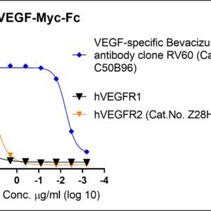 human vegf protein, myc / fc tags