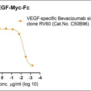 human vegf protein, myc / fc tags