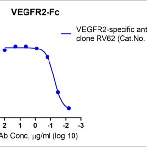human vegfr2 protein, fc tag