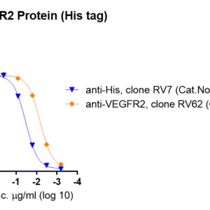 human vegfr2 protein, his tag