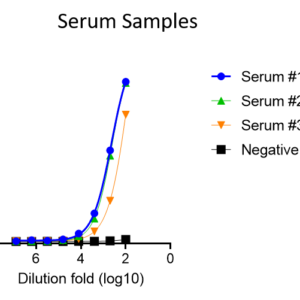 human anti varicella zoster virus (vzv) ge protein antibody igg titer serologic assay kit