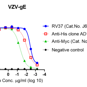 varicella zoster virus (vzv) ge protein (myc & his tags)