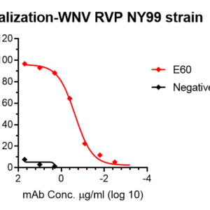 west nile virus (wnv) reporter virus particle (rvp) with renilla luciferase reporter (ny99 strain)