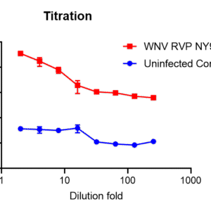 west nile virus (wnv) reporter virus particle (rvp) with renilla luciferase reporter (ny99 strain)