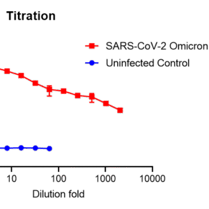vsv pseudovirus sars cov 2 omicron xbb.1.16 strain spike with luciferase reporter