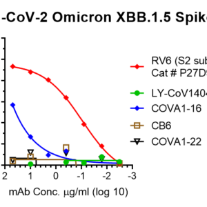 vsv pseudovirus sars cov 2 omicron xbb.1.5 strain spike with luciferase reporter
