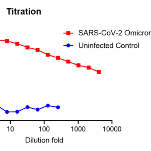 vsv pseudovirus sars cov 2 omicron xbb.1.5 strain spike with luciferase reporter