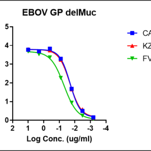 ebola zaire makona trimeric gp protein –twinstrep and his tags
